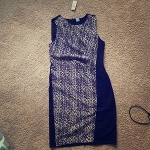 Ann Taylor Dress